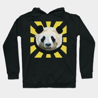 Striking Panda Bear on Sun Rays Hoodie